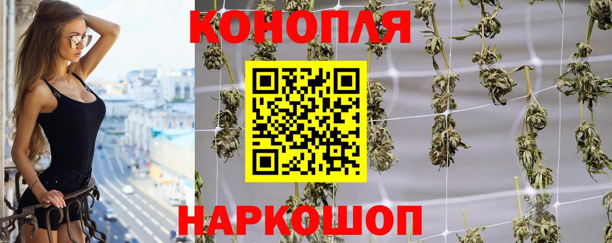 Бошки Шишки ГИДРОПОН  Вход с VPN  Конопля Bruce Banner  Ноябрьск 